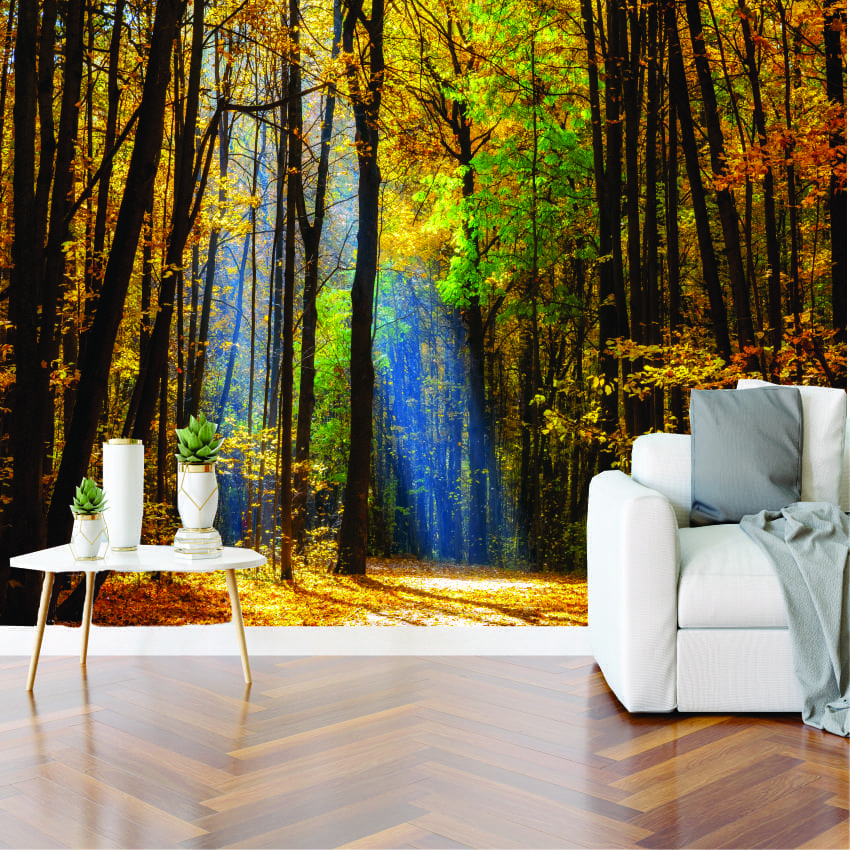Autumn Forest Wall Mural