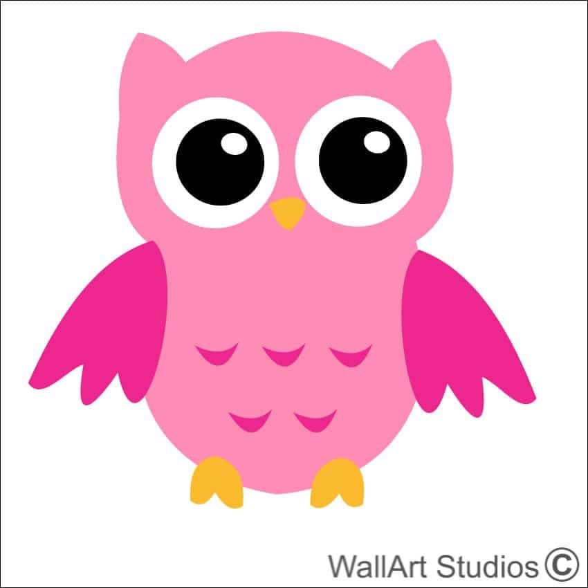 Owl 4